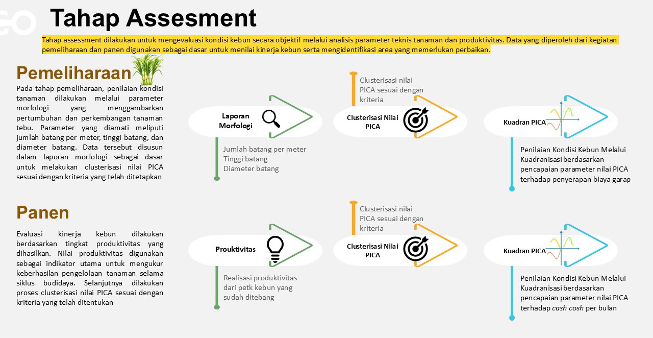 Assesment PICA